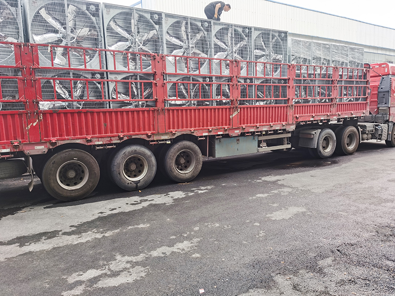 發(fā)貨現(xiàn)場(chǎng) (9).jpg